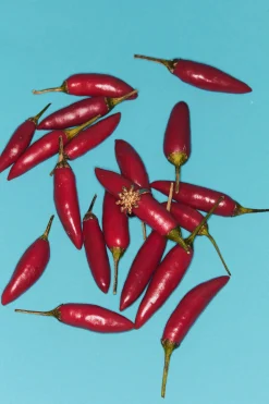 Alemais Encato Ring - Gold