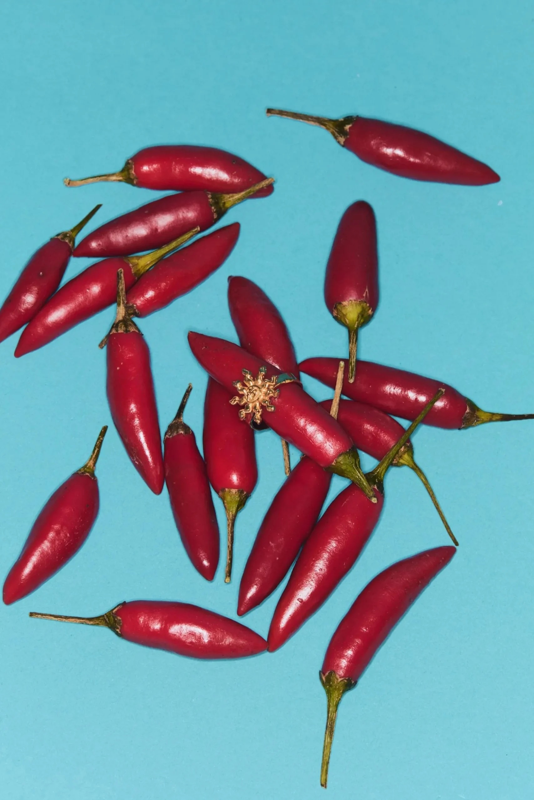 Alemais Encato Ring - Gold