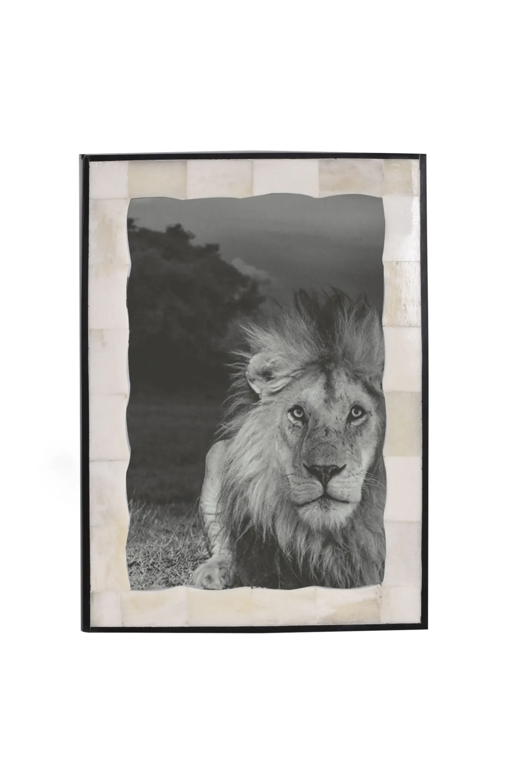 Husk BONE FRAME - Bone