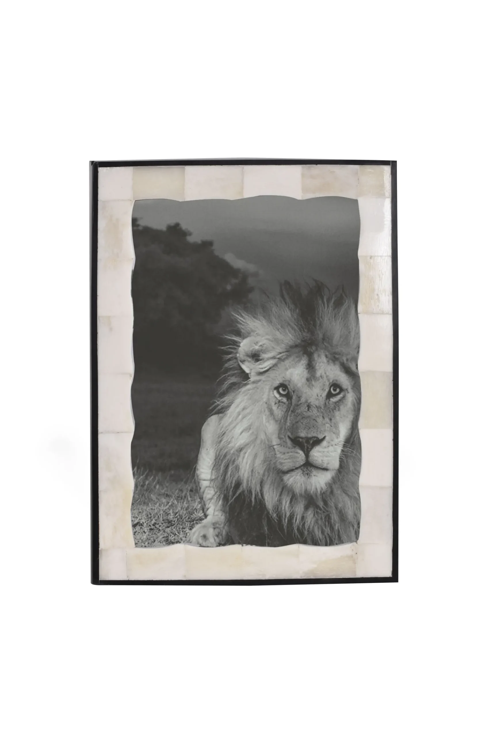 Husk BONE FRAME - Bone