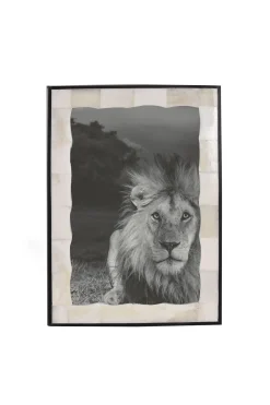 Husk BONE FRAME - Bone