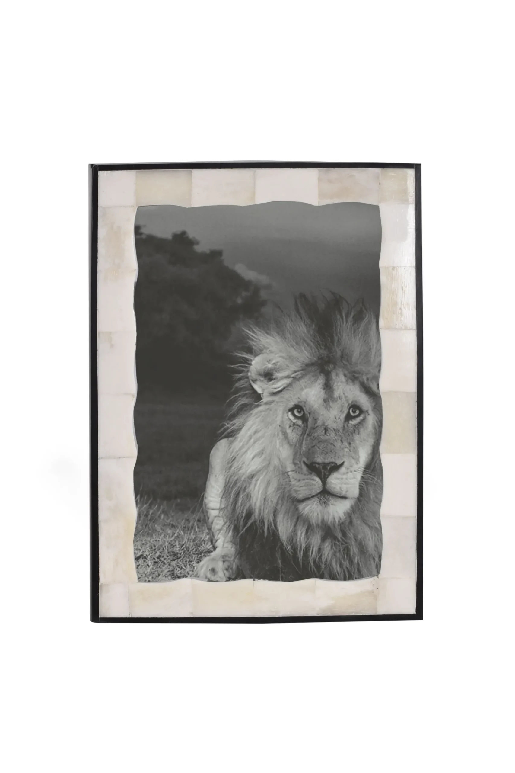 Husk BONE FRAME - Bone