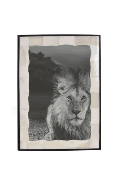 Husk BONE FRAME - Bone