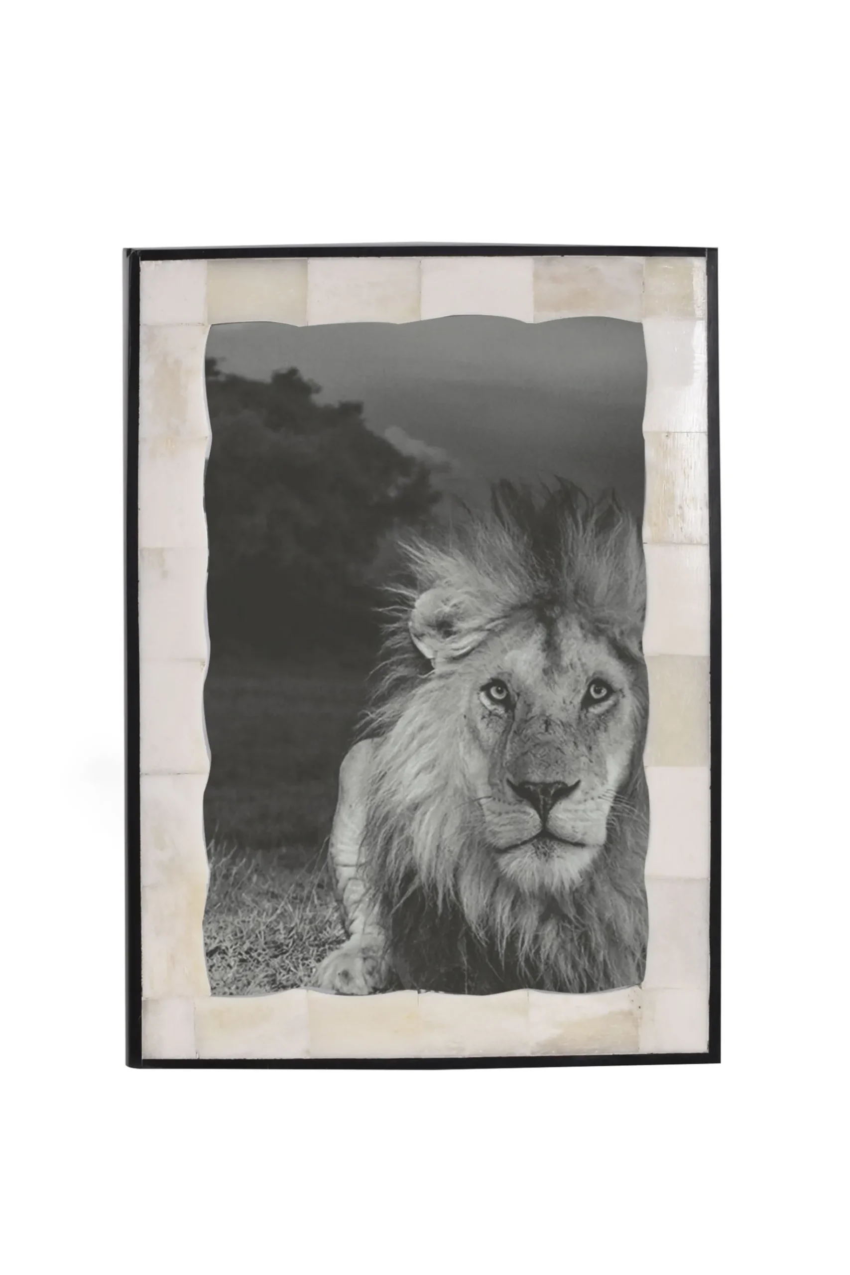 Husk BONE FRAME - Bone