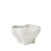 Husk Conch Bowl - Ivory