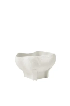 Husk Conch Bowl - Ivory