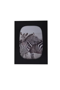 Husk Resin Frame - Black