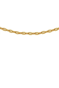 Temple Of The Sun Mariner Chain - Gold